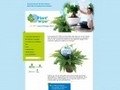 Plant'airpur : Le pouvoir purificateur des plantes d'intérieur