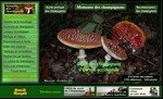 Dictionnaire des champignons